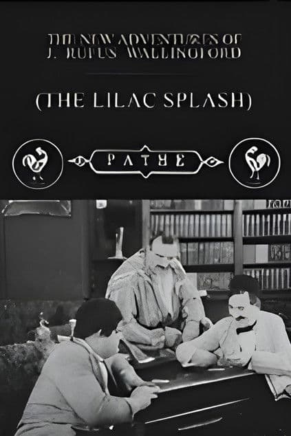 The Lilac Splash streaming