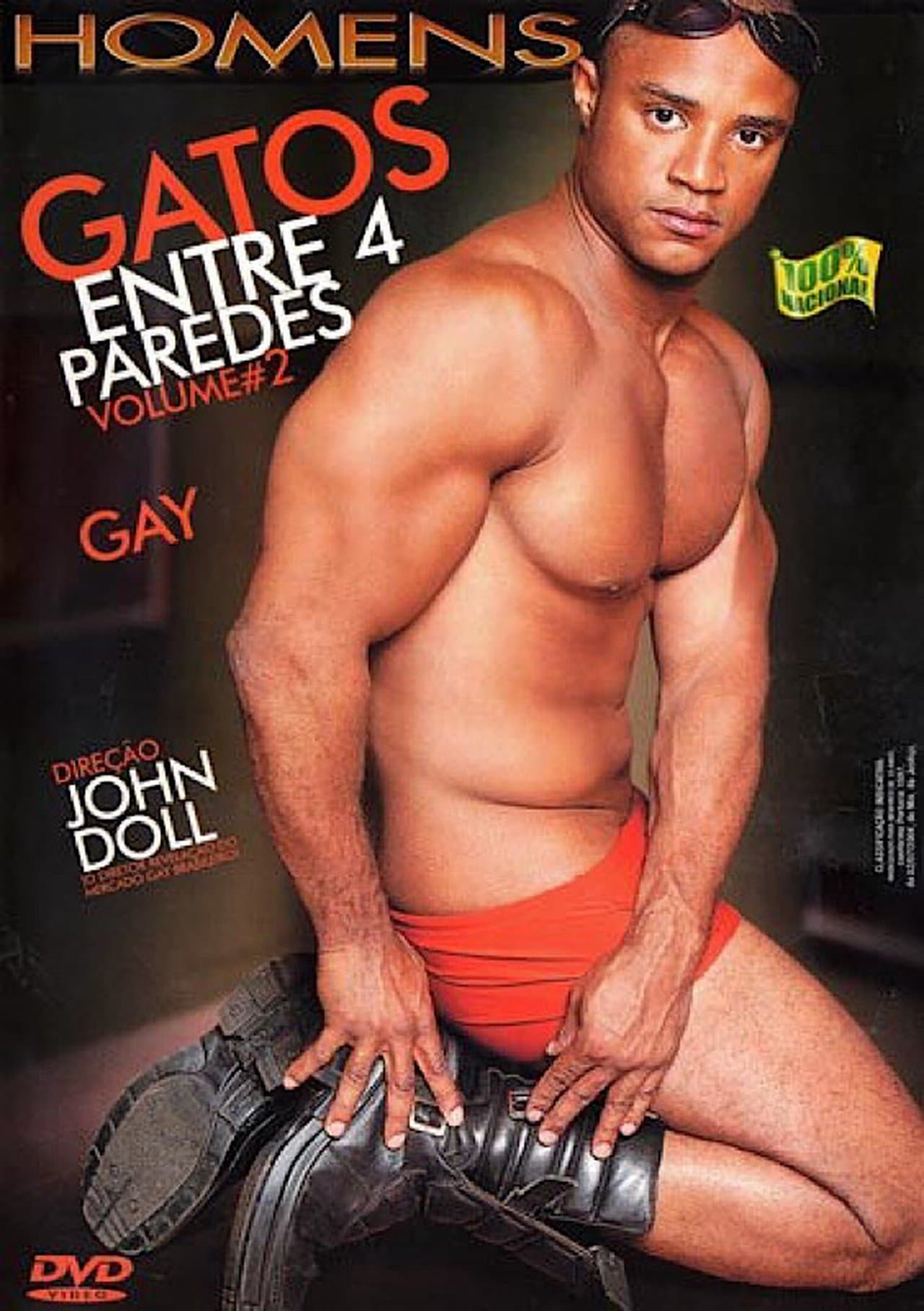 Gatos Entre 4 Paredes 2 streaming