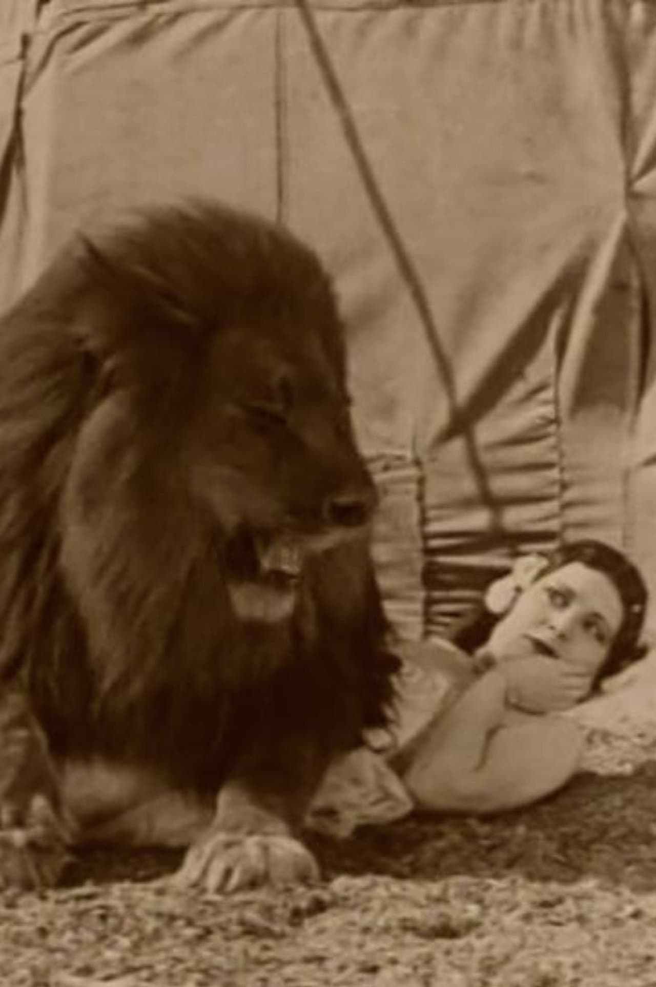 Circus Today streaming