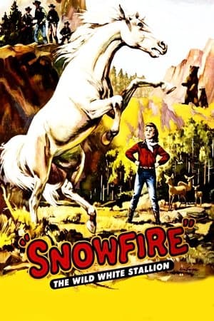 Snowfire streaming