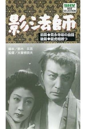 続影法師　龍虎相搏つ streaming