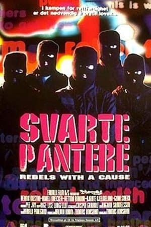 Svarte pantere streaming