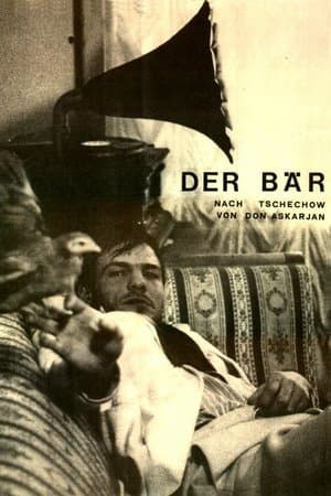 Der Bär streaming
