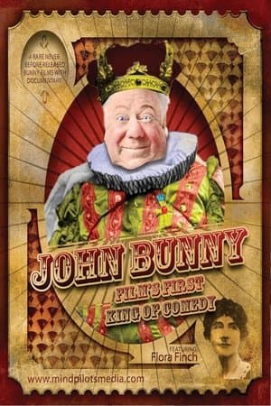 Mr. Bunny in Disguise streaming