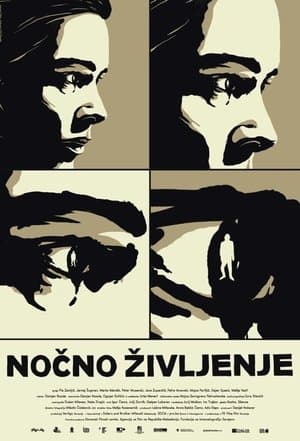 Nočno življenje streaming