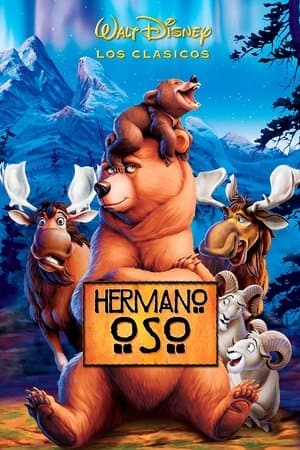 Hermano oso streaming