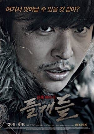 Stray Dogs streaming