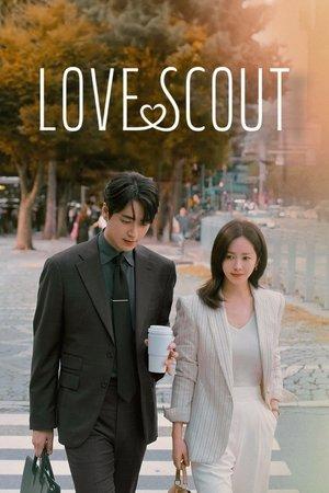 Love Scout streaming