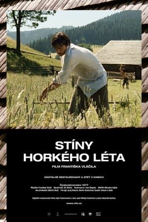 Stíny horkého léta streaming