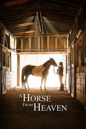 A Horse from Heaven streaming