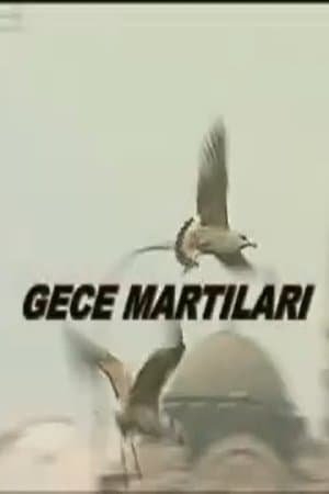 Gece Martıları streaming