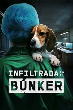 Undercover. Inside the Bunker streaming