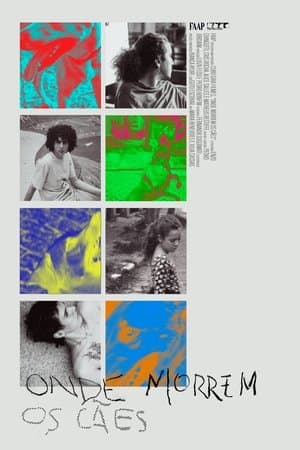 Onde Morrem os Cães streaming