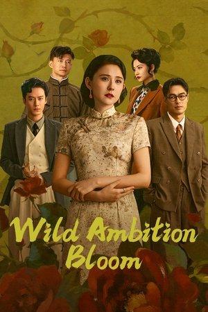 Wild Ambition Bloom streaming