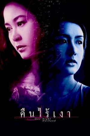 คืนไร้เงา streaming