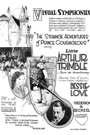 The Strange Adventures of Prince Courageous streaming
