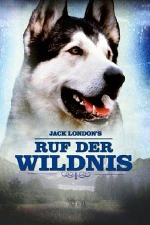 The Call of the Wild streaming
