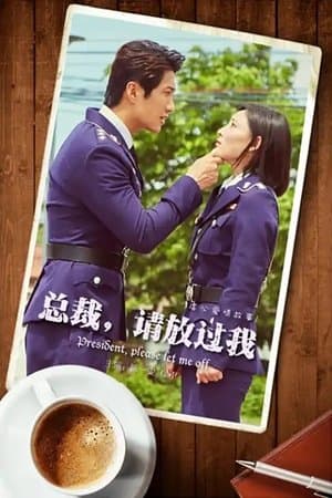 总裁，请放过我 streaming