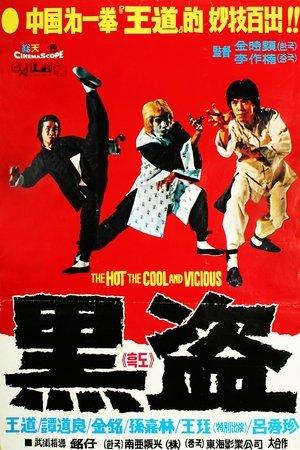 南拳北腿活閻王 streaming