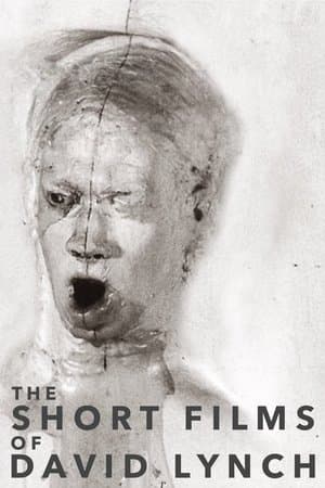 The Short Films of David Lynch streaming