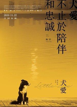 犬爱 streaming