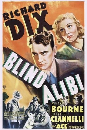 Blind Alibi streaming