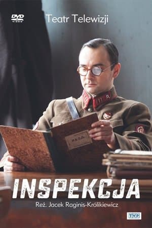 Inspection streaming