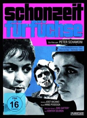 Schonzeit für Füchse streaming