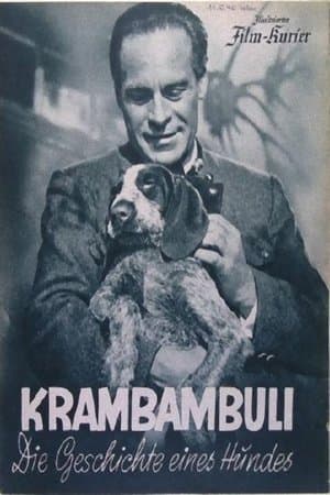 Krambambuli streaming
