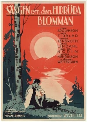 Sången om den eldröda blomman streaming