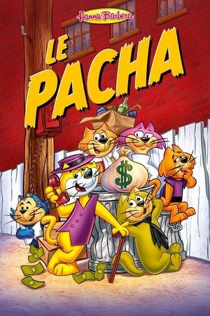 Le Pacha streaming