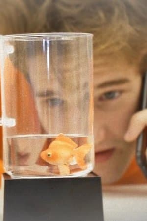 A Fishy State of Mind streaming