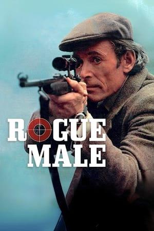 Rogue Male streaming