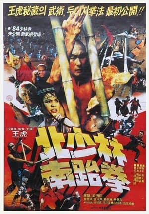 North Shaolin South Taekwon streaming