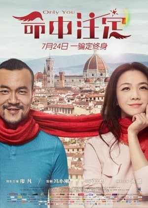 命中注定 streaming