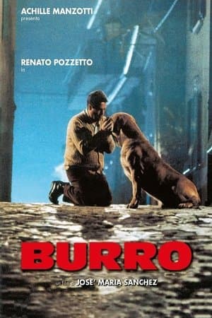 Burro streaming