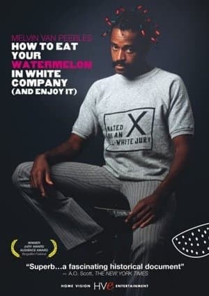 Melvin Van Peebles : l'histoire de la Blacksploitation streaming