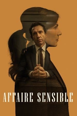 Affaire sensible streaming