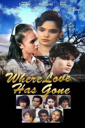 Where Love Has Gone streaming