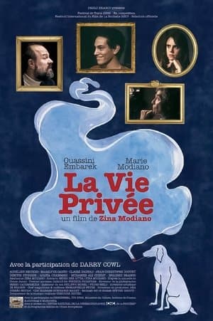La vie privée streaming