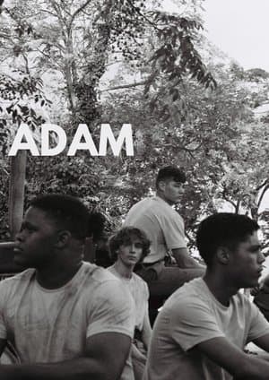 ADAM streaming