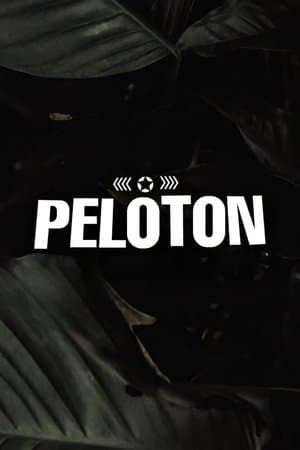 Pelotón streaming