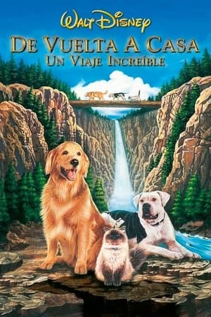De vuelta a casa: Un viaje increíble streaming