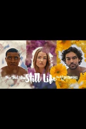 Still Life streaming