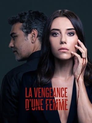 La vengeance d'une femme streaming