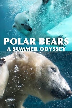 Polar Bears: A Summer Odyssey streaming