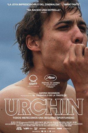 Urchin streaming
