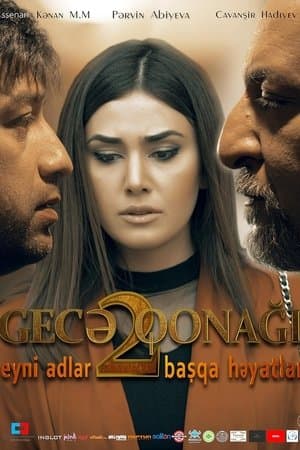 Night Guest 2 streaming