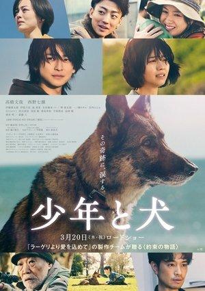 The Boy and the Dog streaming