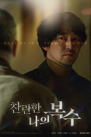 찬란한 나의 복수 streaming